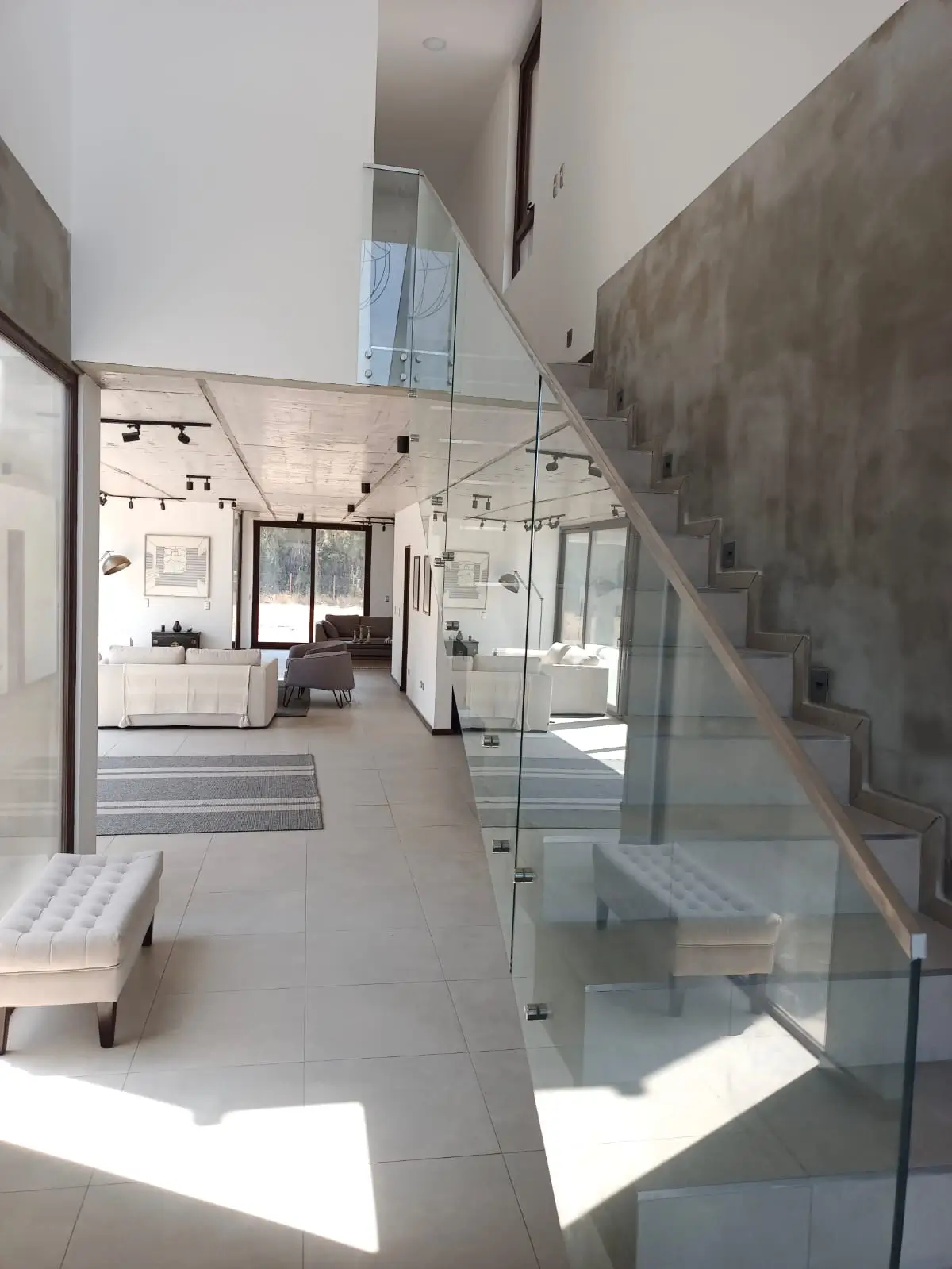 WhatsApp Image 2025-02-20 at 17.50.55